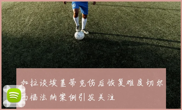 加拉谈埃基蒂克伤后恢复难度切尔西福法纳案例引发关注