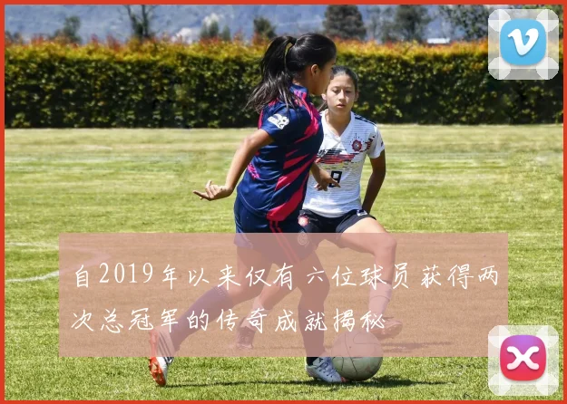 自2019年以来仅有六位球员获得两次总冠军的传奇成就揭秘